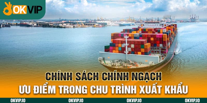 Chính Sách Chính Ngạch – Ưu Điểm Trong Chu Trình Xuất Khẩu - hình ảnh - uipgeuacpa.top