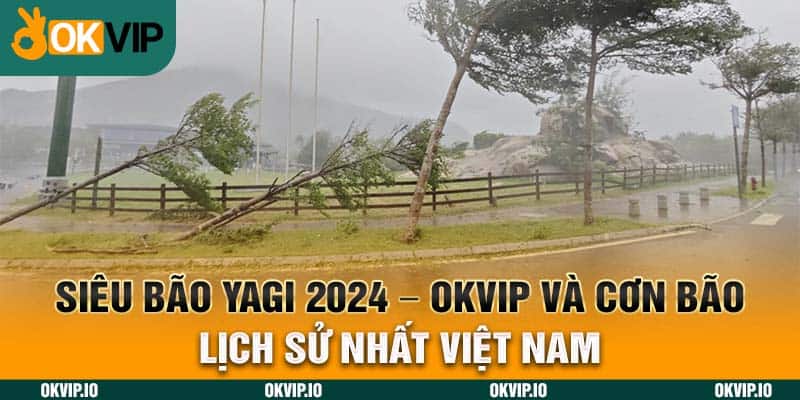 Siêu Bão Yagi 2024 – OKVIP và Cơn Bão Lịch Sự Nhất Việt Nam - hình ảnh - uipgeuacpa.top