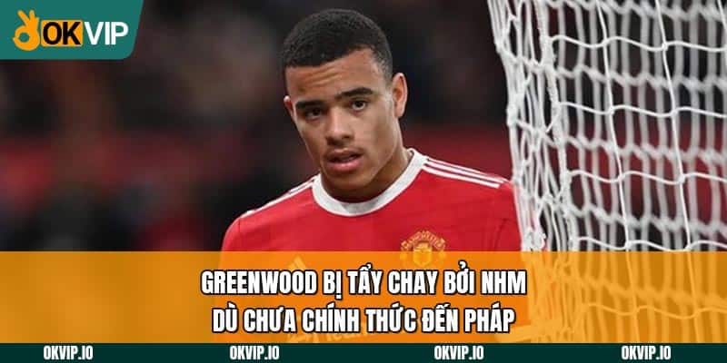 Greenwood Bị Tẩy Chay Bởi NHM Dù Chưa Chính Thức Đến Pháp - hình ảnh - uipgeuacpa.top Greenwood Bị Tẩy Chay Bởi NHM Dù Chưa Chính Thức Đến Pháp - hình ảnh - uipgeuacpa.top