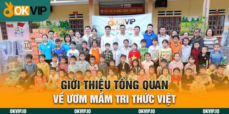 OKVIP Ươm Mầm Tri Thức Việt – Xây Đắp Trí Thức Tương Lai - hình ảnh - uipgeuacpa.top