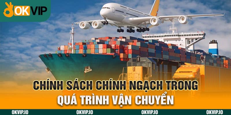 Chính Sách Chính Ngạch – Ưu Điểm Trong Chu Trình Xuất Khẩu - hình ảnh - uipgeuacpa.top