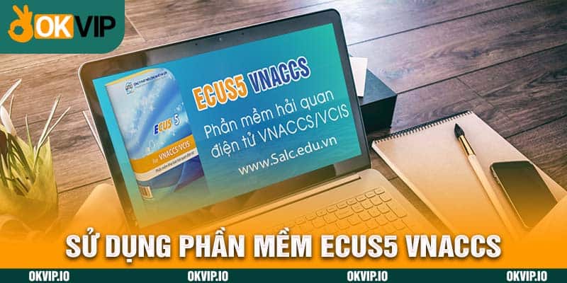 Chính Sách Chính Ngạch – Ưu Điểm Trong Chu Trình Xuất Khẩu - hình ảnh - uipgeuacpa.top