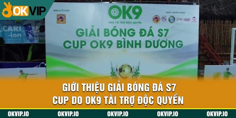 Giải Bóng Đá S7 Cup 2024 – Kết Nối Bùng Cháy Đam Mê OKVIP - hình ảnh - uipgeuacpa.top