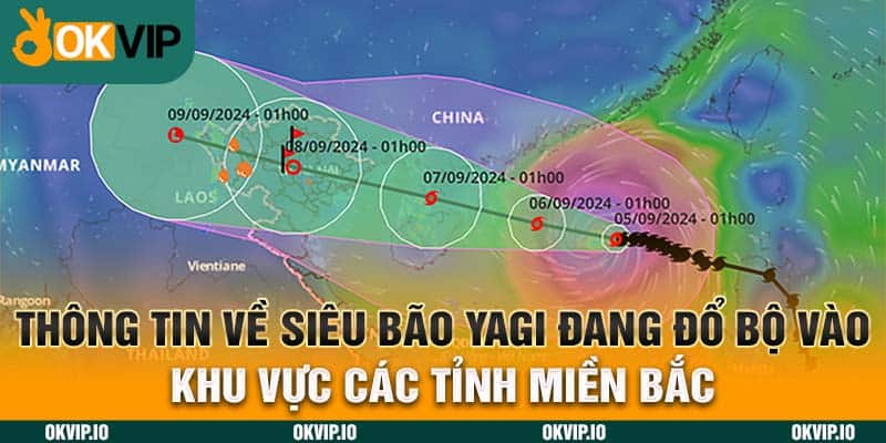 Tin tức - OKVIP - hình ảnh - uipgeuacpa.top