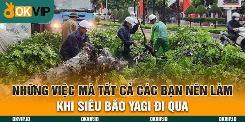 Siêu Bão Yagi 2024 – OKVIP và Cơn Bão Lịch Sự Nhất Việt Nam - hình ảnh - uipgeuacpa.top