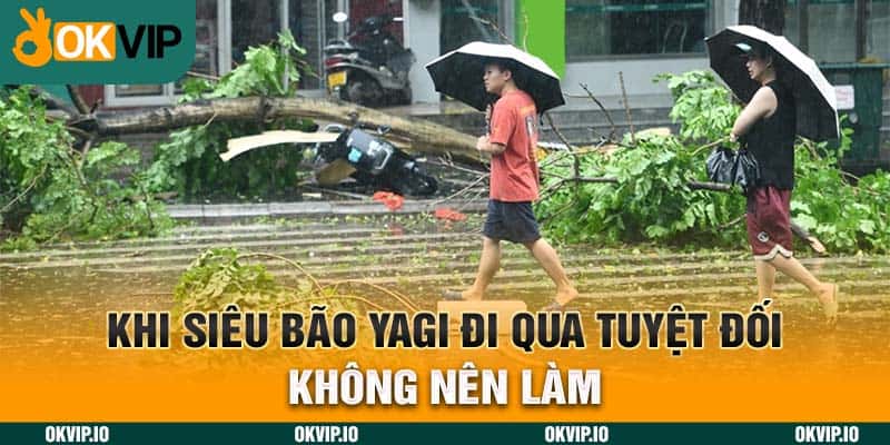 Siêu Bão Yagi 2024 – OKVIP và Cơn Bão Lịch Sự Nhất Việt Nam - hình ảnh - uipgeuacpa.top