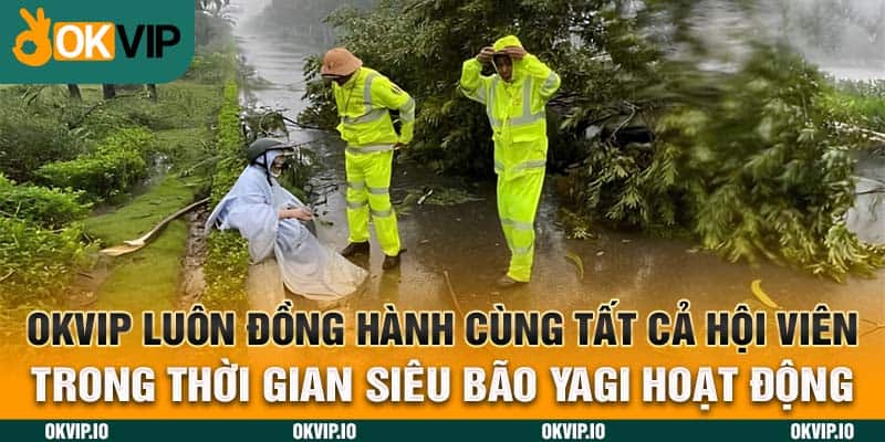 Siêu Bão Yagi 2024 – OKVIP và Cơn Bão Lịch Sự Nhất Việt Nam - hình ảnh - uipgeuacpa.top