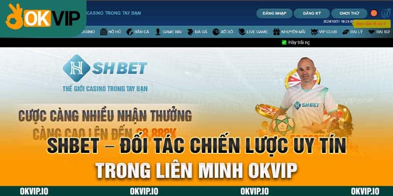 Hệ Sinh Thái OKVIP – Top 7 Đối Tác Chiến Lược Uy Tín - hình ảnh - uipgeuacpa.top