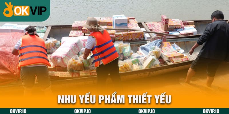 “Vì Cuộc Sống Tươi Đẹp” – Thiện nguyện của OKVIP Năm 2024 - hình ảnh - uipgeuacpa.top