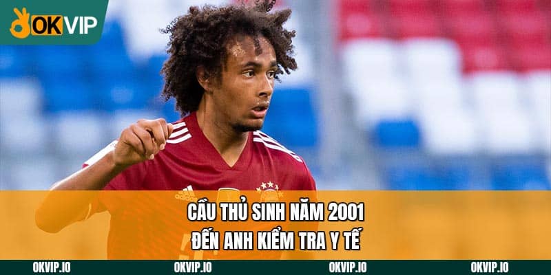 Zirkzee Đến Anh Kiểm Tra Y Tế, MU Sắp Nổ Bom Tấn Năm 2024 - hình ảnh - uipgeuacpa.top Zirkzee Đến Anh Kiểm Tra Y Tế, MU Sắp Nổ Bom Tấn Năm 2024 - hình ảnh - uipgeuacpa.top