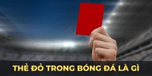 Thể Thao OKVIP - OKVIP - hình ảnh - uipgeuacpa.top