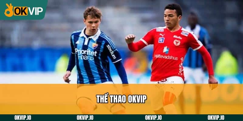Thể Thao OKVIP - OKVIP - hình ảnh - uipgeuacpa.top Thể Thao OKVIP - OKVIP - hình ảnh - uipgeuacpa.top