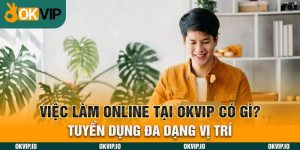 Tuyển dụng OKVIP - OKVIP - hình ảnh - uipgeuacpa.top